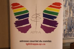 IMG_9156_Banniere-Comite-LGBT